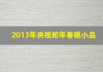 2013年央视蛇年春晚小品