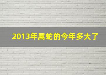 2013年属蛇的今年多大了