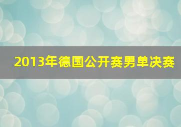 2013年德国公开赛男单决赛