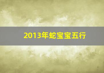 2013年蛇宝宝五行