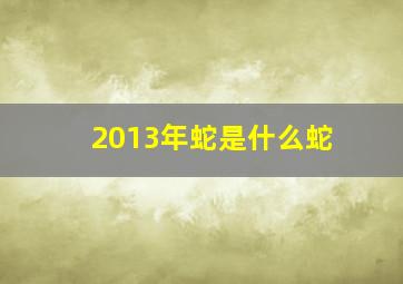 2013年蛇是什么蛇