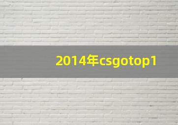 2014年csgotop1