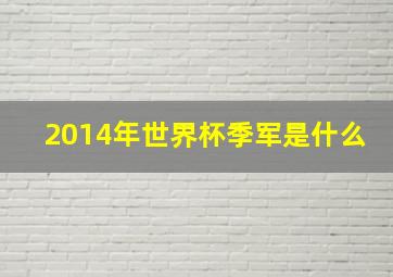 2014年世界杯季军是什么