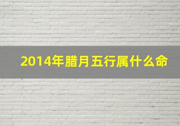 2014年腊月五行属什么命