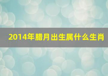 2014年腊月出生属什么生肖