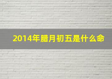 2014年腊月初五是什么命