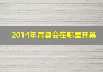 2014年青奥会在哪里开幕