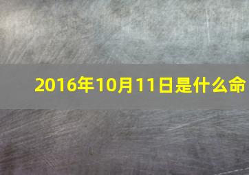 2016年10月11日是什么命