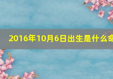 2016年10月6日出生是什么命