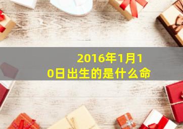 2016年1月10日出生的是什么命