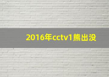 2016年cctv1熊出没