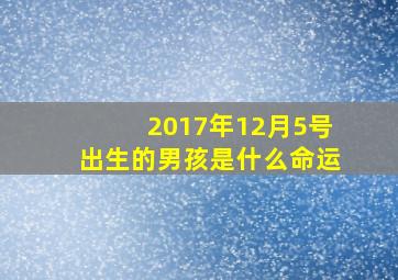 2017年12月5号出生的男孩是什么命运