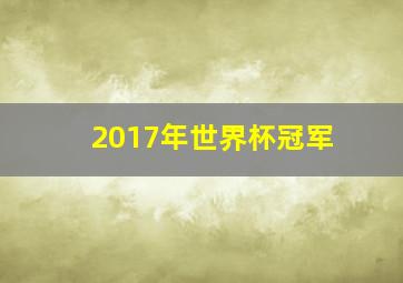 2017年世界杯冠军