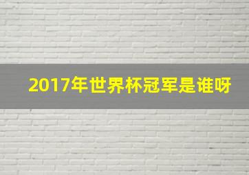 2017年世界杯冠军是谁呀