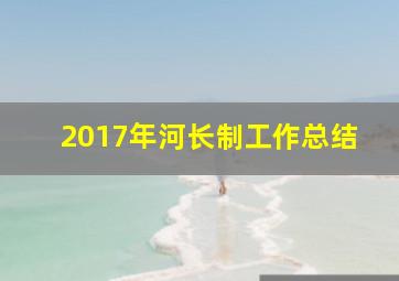 2017年河长制工作总结