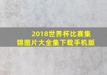 2018世界杯比赛集锦图片大全集下载手机版