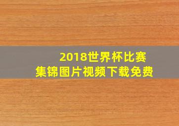 2018世界杯比赛集锦图片视频下载免费