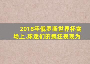 2018年俄罗斯世界杯赛场上,球迷们的疯狂表现为