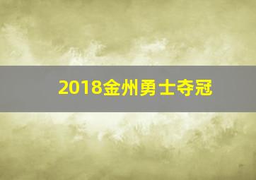 2018金州勇士夺冠