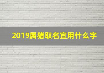 2019属猪取名宜用什么字