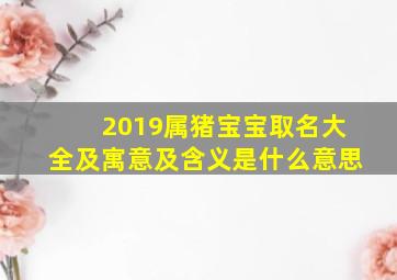 2019属猪宝宝取名大全及寓意及含义是什么意思