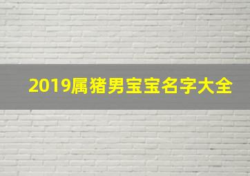 2019属猪男宝宝名字大全