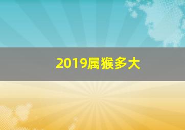 2019属猴多大