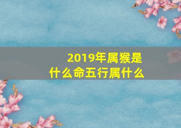 2019年属猴是什么命五行属什么