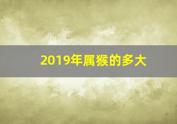 2019年属猴的多大