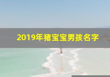 2019年猪宝宝男孩名字