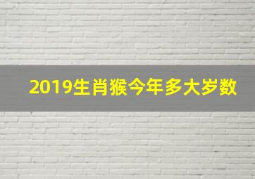 2019生肖猴今年多大岁数