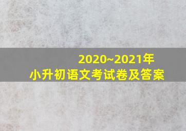 2020~2021年小升初语文考试卷及答案