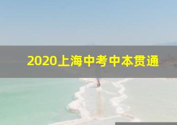 2020上海中考中本贯通