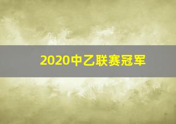 2020中乙联赛冠军