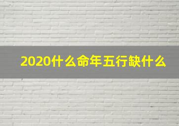 2020什么命年五行缺什么