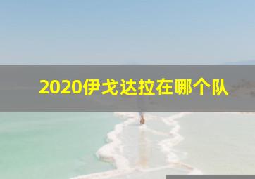 2020伊戈达拉在哪个队