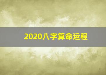 2020八字算命运程