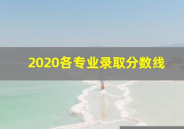 2020各专业录取分数线