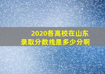 2020各高校在山东录取分数线是多少分啊