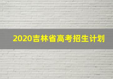 2020吉林省高考招生计划