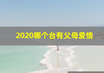 2020哪个台有父母爱情