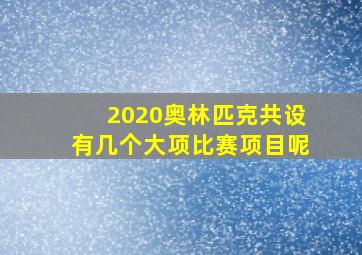 2020奥林匹克共设有几个大项比赛项目呢