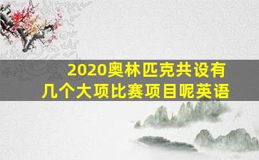 2020奥林匹克共设有几个大项比赛项目呢英语