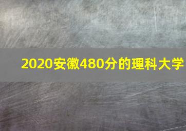 2020安徽480分的理科大学