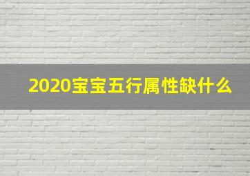 2020宝宝五行属性缺什么