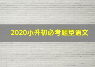 2020小升初必考题型语文