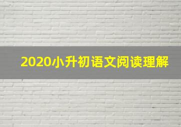 2020小升初语文阅读理解