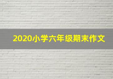 2020小学六年级期末作文