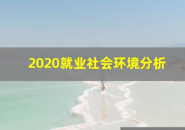 2020就业社会环境分析