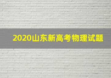 2020山东新高考物理试题